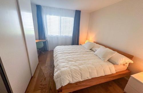 Rebstein Apartment | Business Apartment Rheintal 98 qm, 2 TG Plätze, ideal für 1 bis 2 Personen