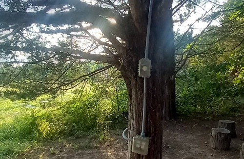 Elkland RV Rental | Busy B's Electrified Landing Campsite at B Berry Farms & Co.