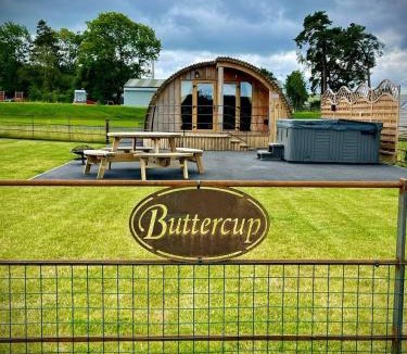 St Harmon House | Buttercup