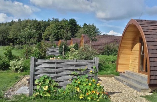 Bourton Other | Buttercup Glamping Pod