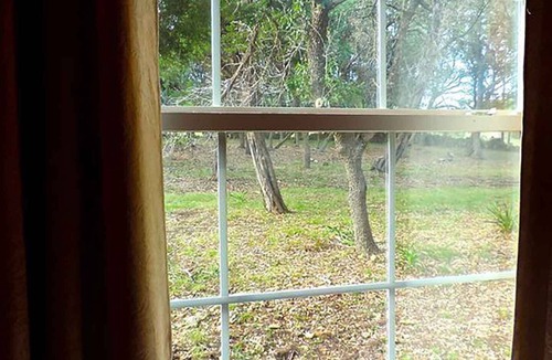 Boerne Cabin | Butterflies Cabin @ HomeAway Ranch