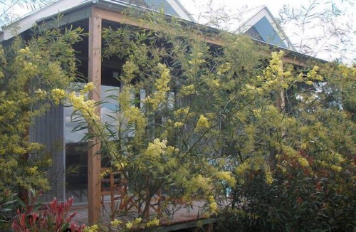 Castlemaine Cottage | butterworth accommodation Castlemaine