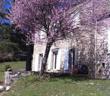 Sampolo Villa | Buvolaccia