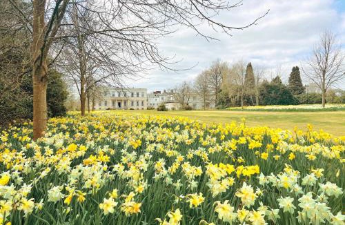 Buxted House | Buxted Park Hotel