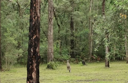 Basin View House | BV Farm Stay