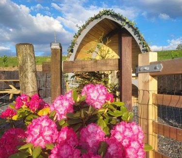 Llanllyfni House | Bwthyn Plas Hafod Cottage