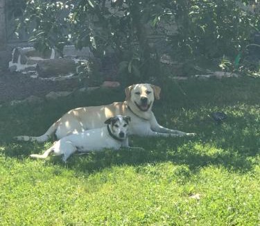 Lussac-Les-Eglises House | By The Wayside