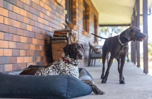 Coomba Park House | Byadbo