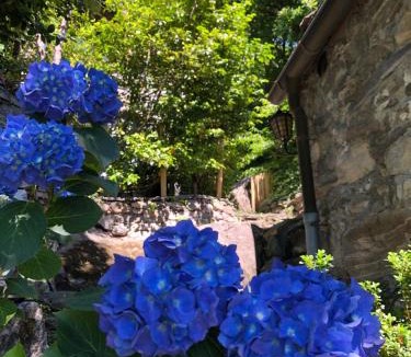 Giumaglio House | Cà dal Bosc e Cà sgrüscia