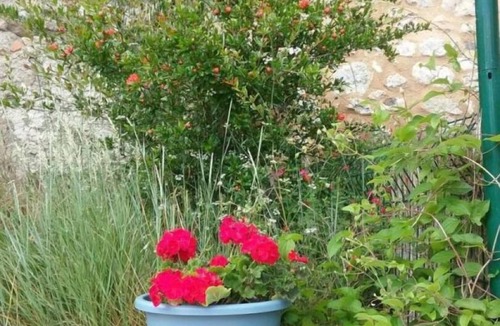 Montgaillard House | Cécile - MONTGAILLARD - Gîte