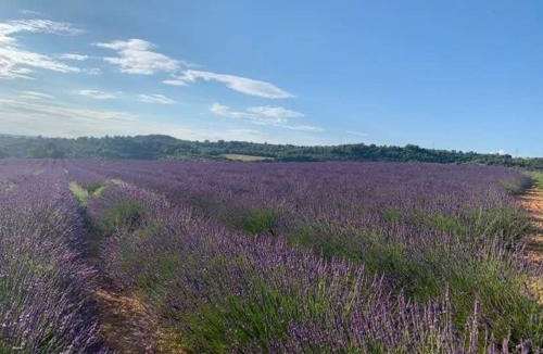 Quinson Apartment | Côté Verdon