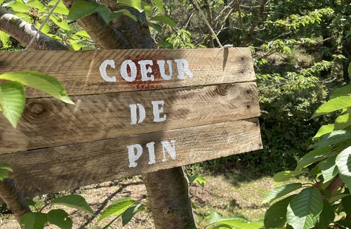 Bouc-Bel-Air House | Cœur de pin
