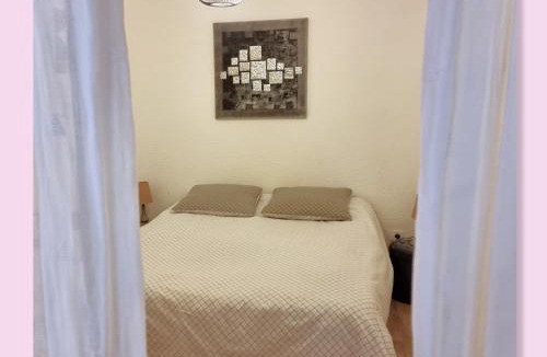 Digne-les-Bains Apartment | Cœur de ville, T2, rue piétonne, Digne les Bains
