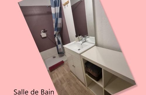 Digne-les-Bains Apartment | Cœur de ville, T2, rue piétonne, Digne les Bains