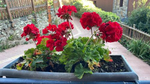 Ribes De Freser House | Ca l'Andreu