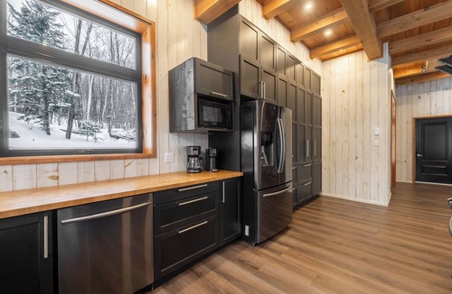 Ste-Lucie-des-Laurentides Ski Chalet | Chalet de l'Artisan | 4Season Spa | Alpine Skiing | Fireplace | BBQ | Boardgames