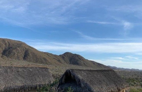 El Pescadero Hotel | Cabañas 33 1/3 Room B