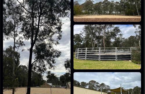 Bargo House | Caballo Retreat Cottage