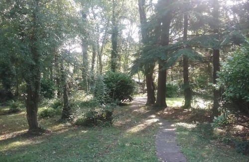 Cenarth Ski Chalet | Caban Cwtch