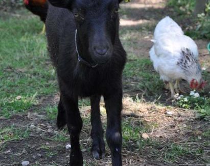 Saint-Jean-les-Deux-Jumeaux Other | cabane sur pilotis les pieds dans l'eau