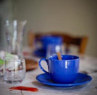 Cosnac House | Cabane à Mémé