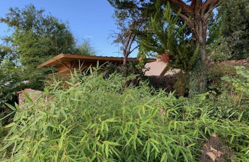 Huriel Other | cabane bambou