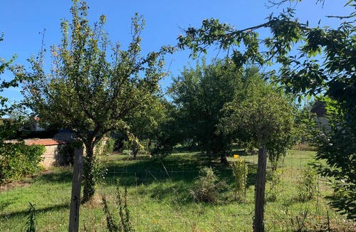 Huriel Other | cabane bambou