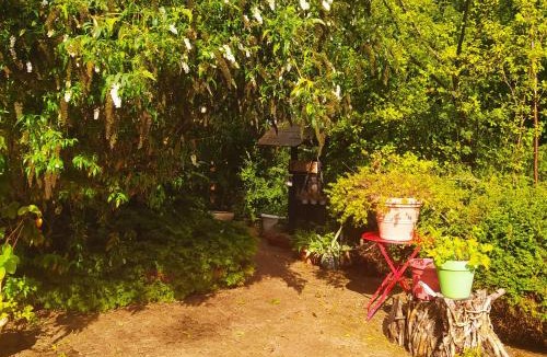 Fumay Other | CABANE CERISE DANS L'ARBRE Etapeboisee