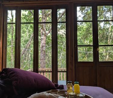 Palaja Cabin | Cabane d'Oniria