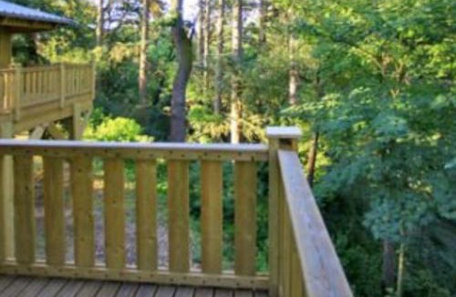 Albi Other | Cabane dans les arbres - 4 pers. - API-1-52-2114