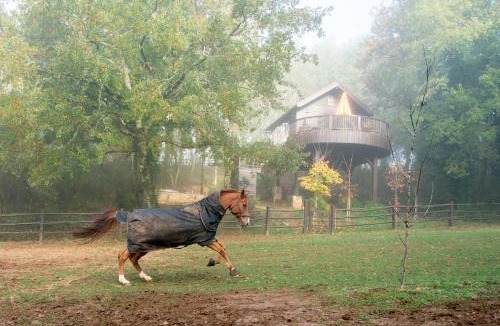 Auriac-du-Perigord Ski Chalet | Cabane de La Mésange