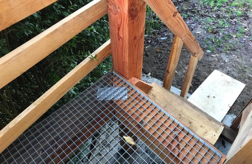 La Capelle Other | Cabane du hérisson