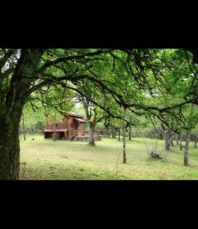 Saint-Antonin Noble Val House | Cabane en bois