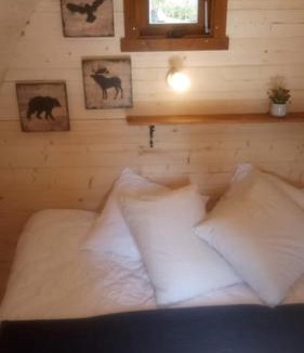 Champfromier Other | Cabane en bois POD 2