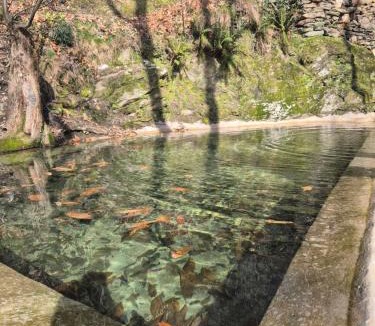 Saint-Germain-de-Calberte Cabin | Cabane insolite