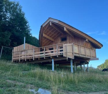 La Pesse Ski Chalet | Cabane Insolite de la Semine