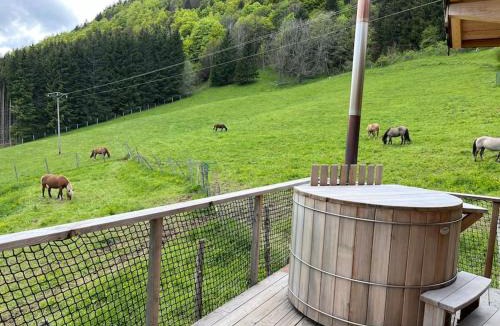 La Pesse Ski Chalet | Cabane Insolite de la Semine