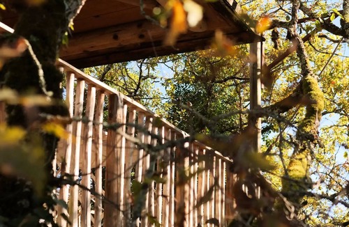 Saint-Amand-de-Coly Cabin | Cabane Lou arbrilhon 6 persons
