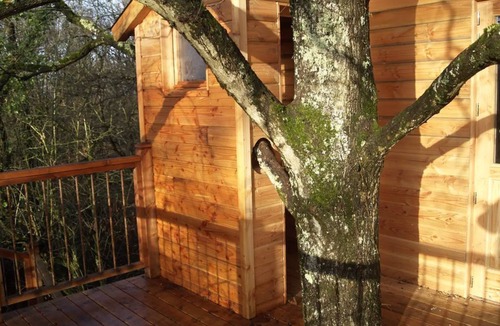 Gennes-Val-de-Loire Cabin | Cabane Mar'ienne in Le Thoureil, Maine et Loire