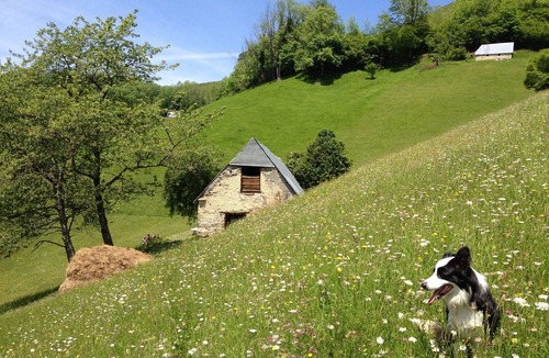 Bagneres-de-Bigorre Cabin | Cabane Mountain View Beroy