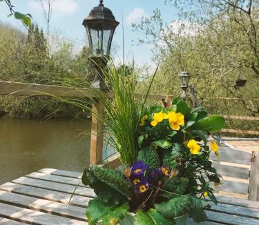 La Roche-Maurice Other | Cabane perchée avec jacuzzi
