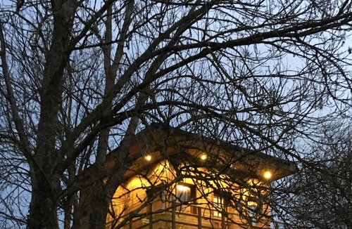 Vert Cabin | Cabane perchee - Sejour au Vert