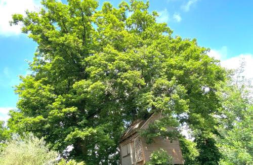 Villebon-sur-Yvette Ski Chalet | Cabane suspendue dans les arbres