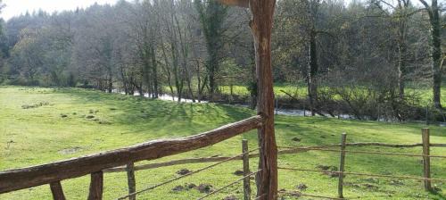 Saint-Eloy-les-Tuileries House | Cabanes des Landes- cabane sur pilotis