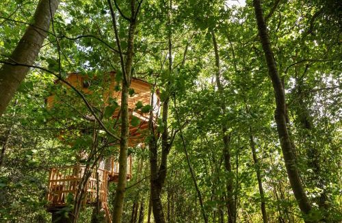 Moulicent Cabin | Cabanes de la Grande Noe