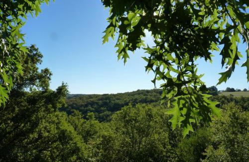 Salignac-Eyvignes Bed & Breakfast | Cabanes hobbit et Figuiers