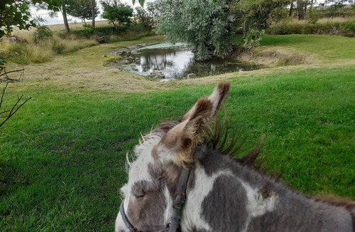 Oucques House | Cabanon Insolite