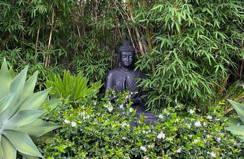 Kiama House | Cabbage Tree Art House retreat