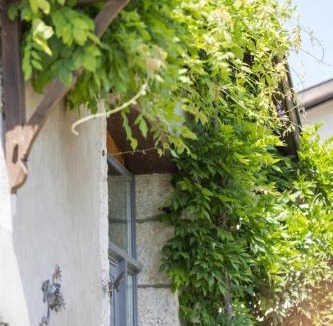 Benesse-les-Dax House | Cabernet