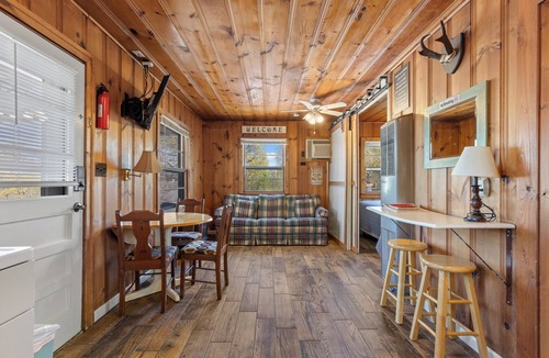 Diamond City Cabin | Cabin 1- 2bd/1bath with beautiful views of Bull Shoals Lake.